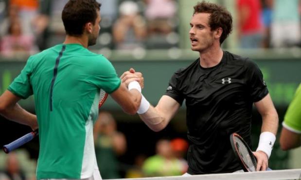 Andy Murray congratulates Grigor Dimitrov