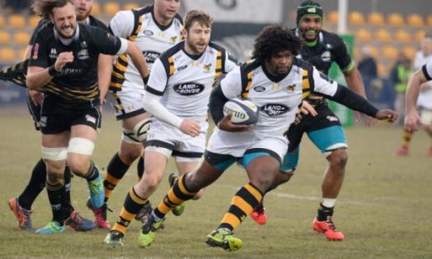 Zebre 27-41 Wasps: Dai Young's side to face Leinster in Champions Cup quarter-finals
