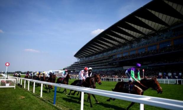 Coral Daily Download - Royal Ascot day two tips and betting odds, Andy Murray's Wimbledon chances and more!