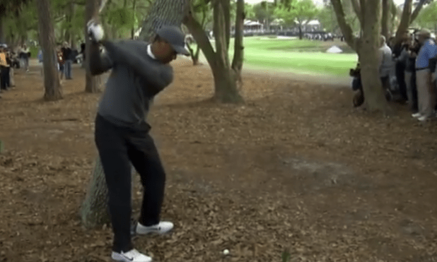 Watch Tiger Woods incredibly make incredible par from trees in Valspar Championship 