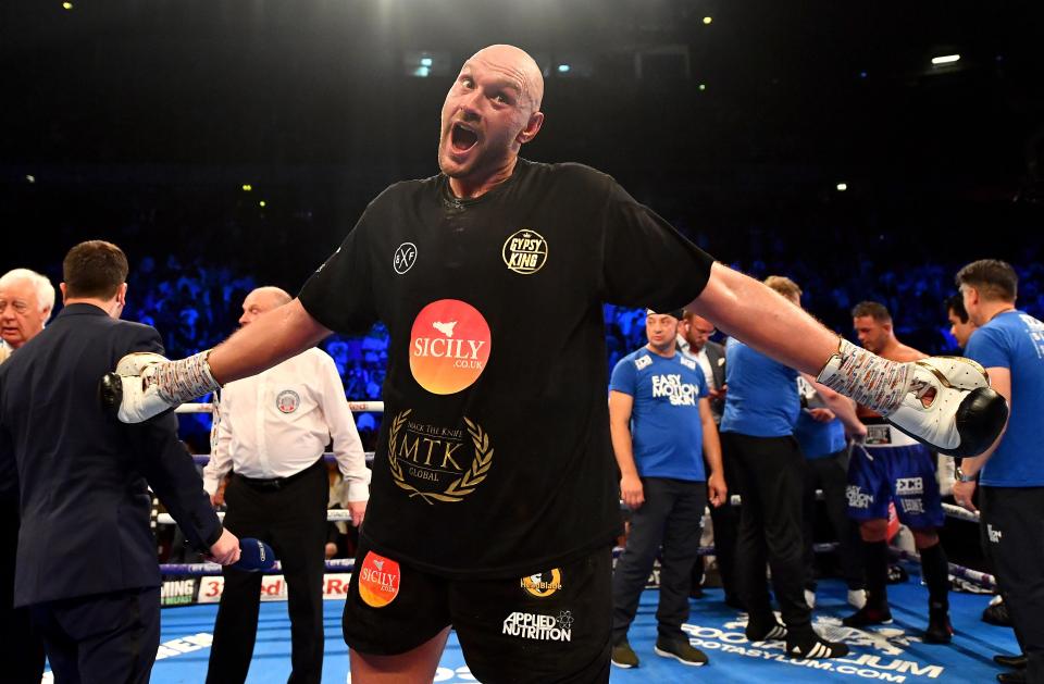  Fury celebrates his recent stoppage victory over Sefer Seferi