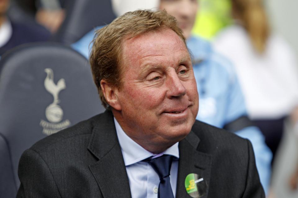  Redknapp has told Tottenham to 'get after' Ajax at home
