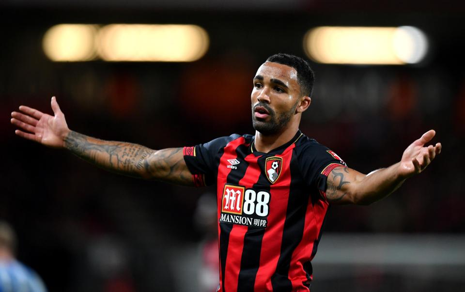  Now an England international Callum Wilson has put his injury woes behind him