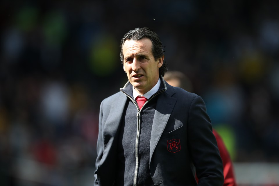  Arsenal boss Unai Emery will bolster his squad in the summer transfer window