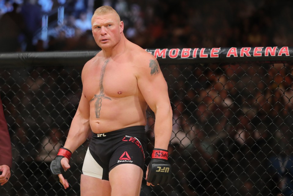 Brock Lesnar is one of the biggest stars in UFC history