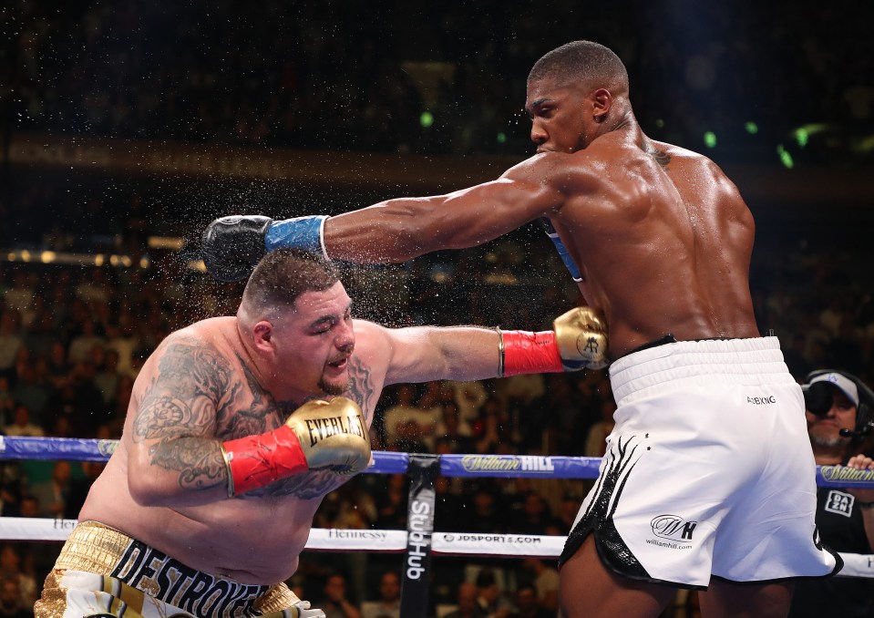  Anthony Joshua will look to avenge his loss against Andy Ruiz Jr in their rematch on December 7