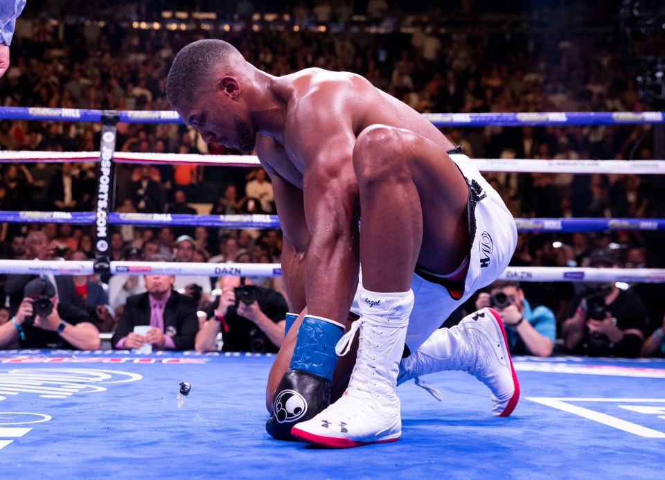  Joshua was dropped multiple times by Andy Ruiz Jr in his sole professional defeat