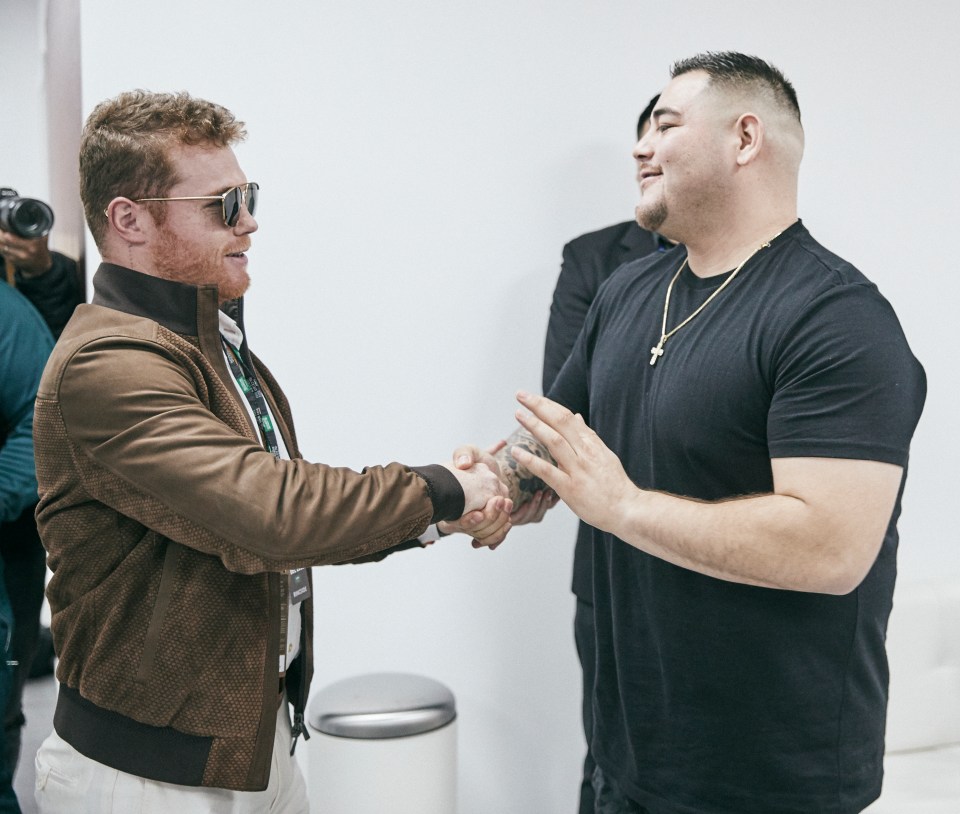  Canelo watched Andy Ruiz Jr relinquish his world heavyweight titles on Saturday night