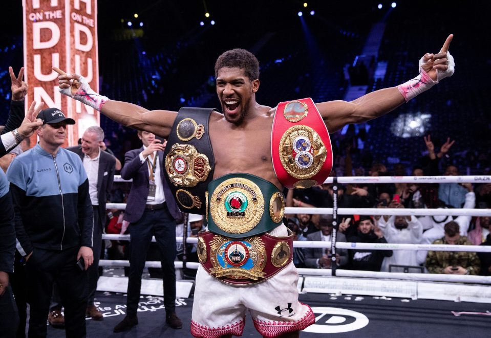Joshua became one of the sport's biggest names during his rise