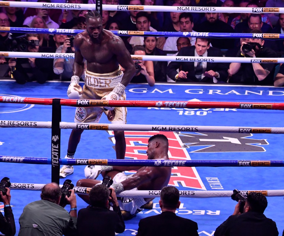  Wilder's brutal KO of Luis Ortiz went viral on social media