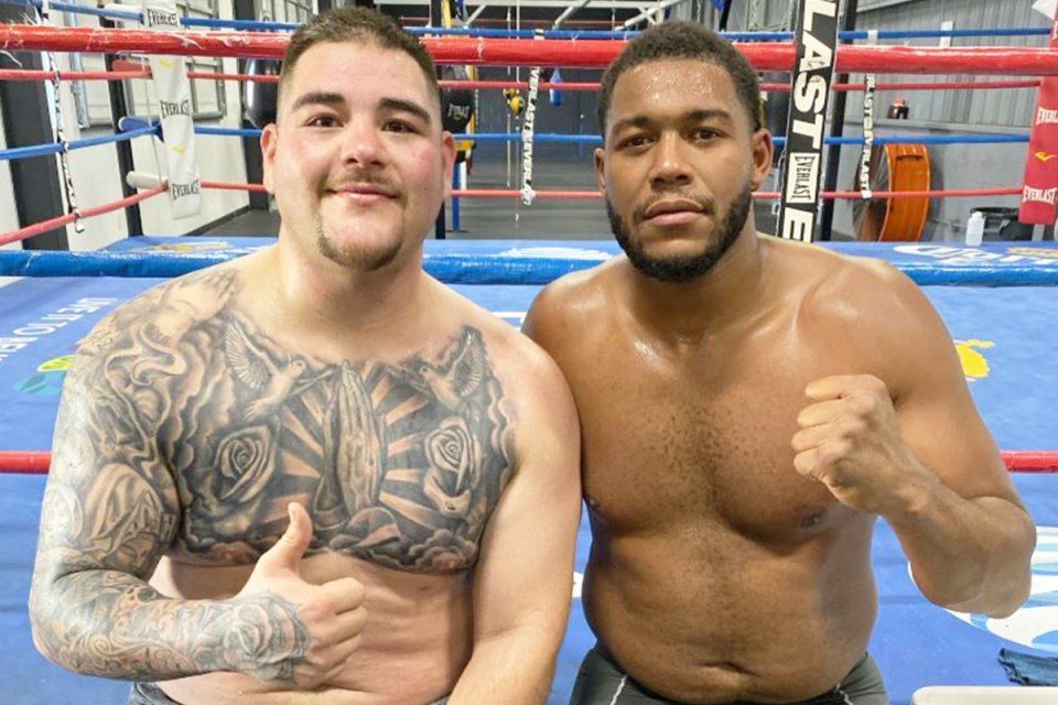  Ahead of his rematch with Joshua, Ruiz Jr recruited Michael Hunter to help him prepare.