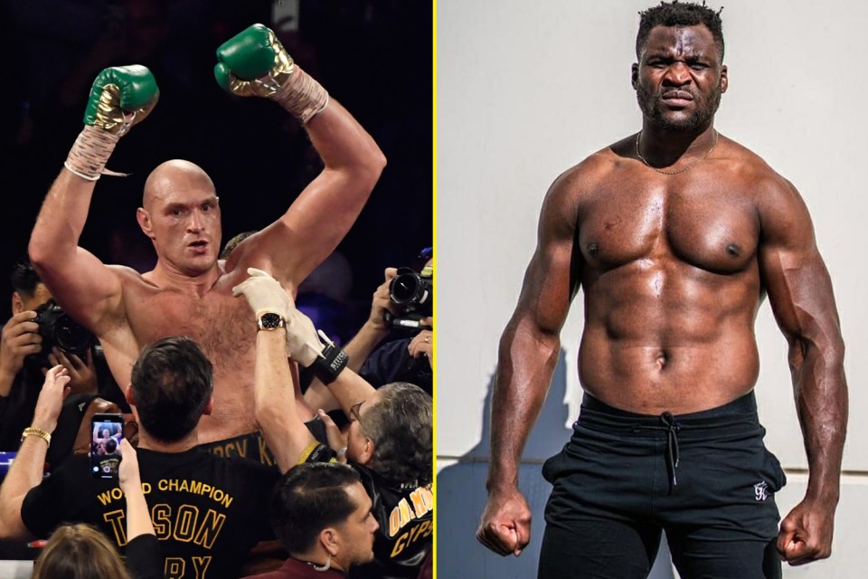 A crossover bout between Fury and Ngannou has been repeatedly brought up