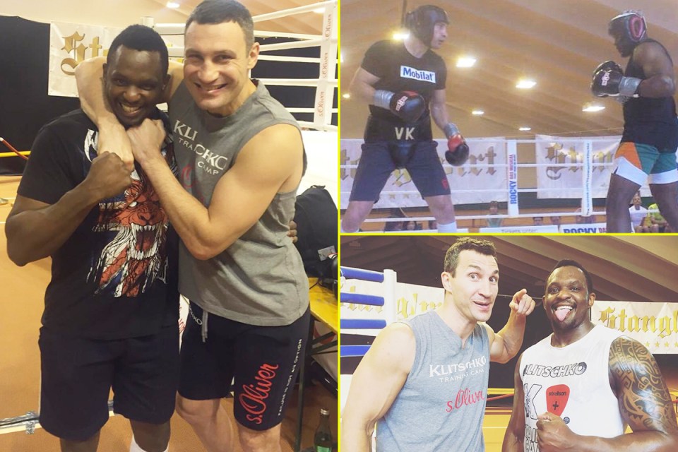  Whyte was initially recruited by Vitali and then also by Wladimir.