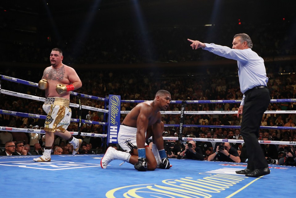 Ruiz Jr stunned the world when he knocked out Joshua in their first fight