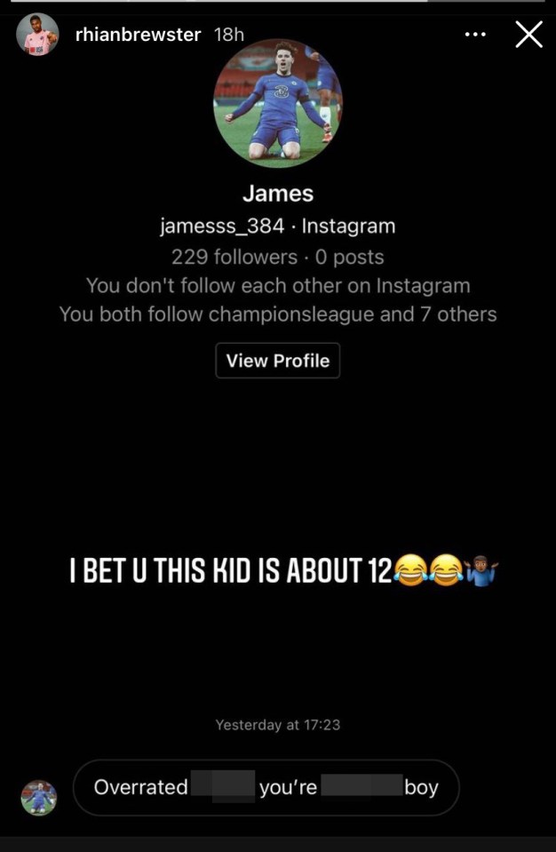  Brewster shared the online abuse with his 675,000 Instagram followers