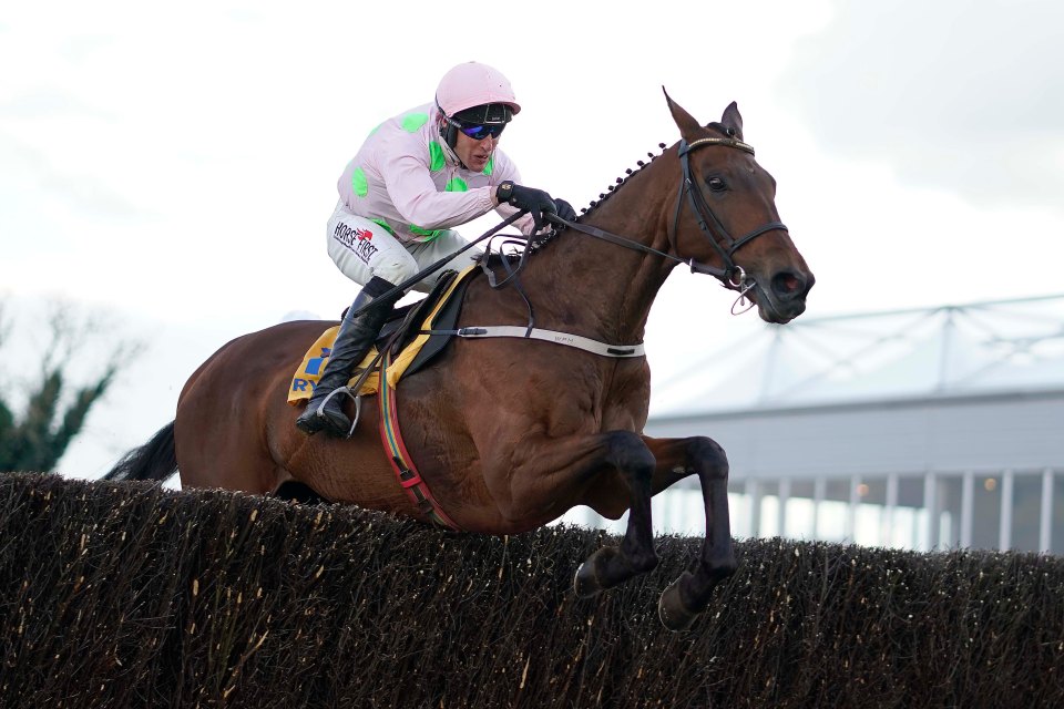 Chacun Pour Soi is the big favourite in the Champion Chase