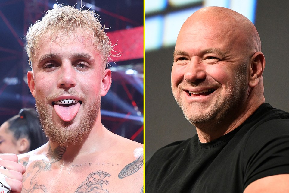 White has made no secret of his dislike for the way boxing is right now where Paul is able to be paid close to $1m to be the main event