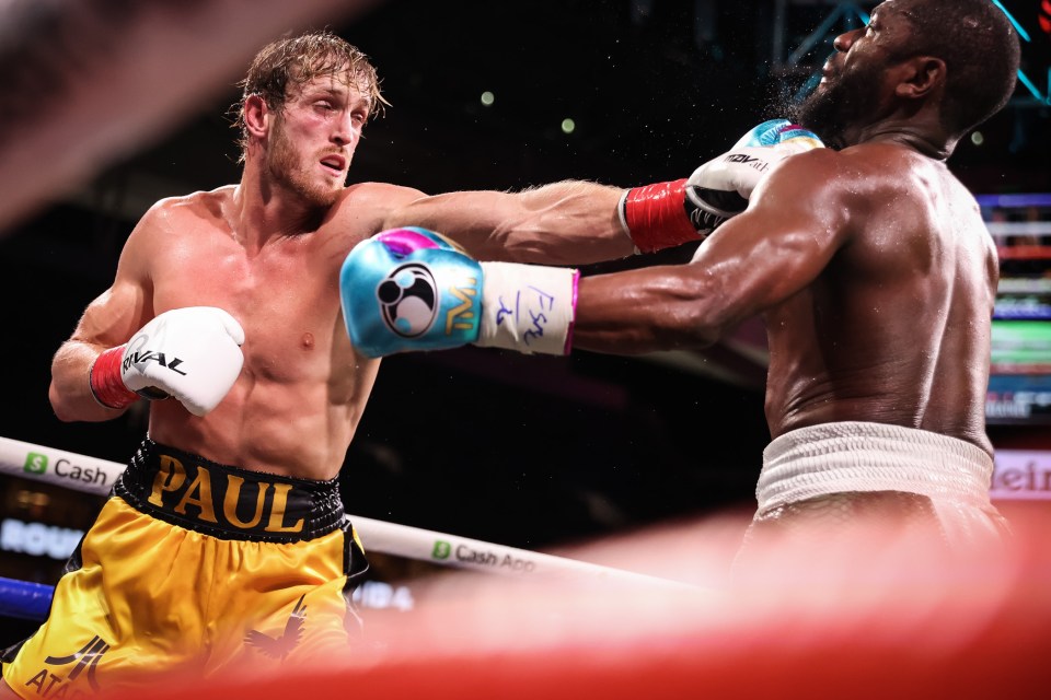 Paul was able to share the ring with boxing royalty Mayweather and both earned plenty of money