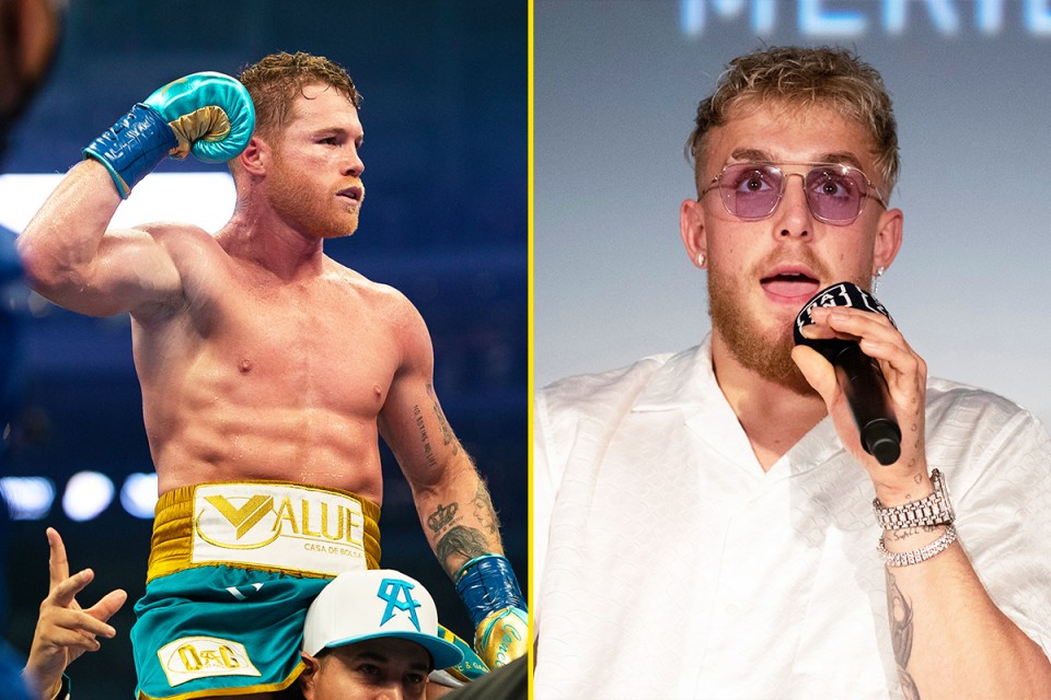 Paul's manager believes a fight with Canelo can happen