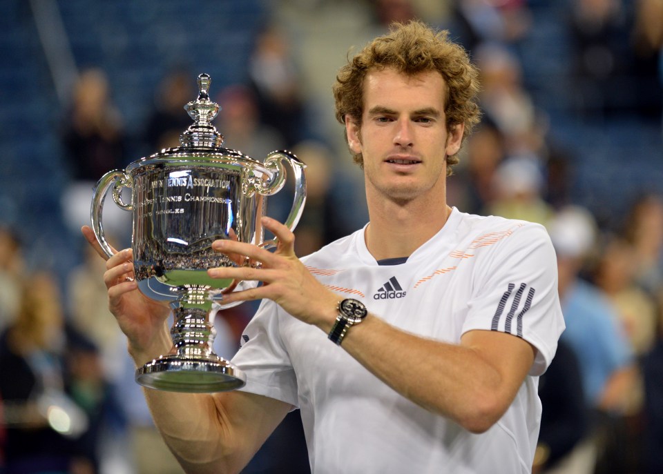 The last time a Brit reached the men's semi final was in 2012 - when Murray went on to win the tournament too