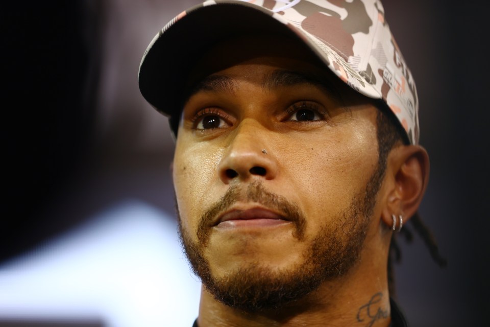 Hamilton looked slightly shocked as he failed to match his rival