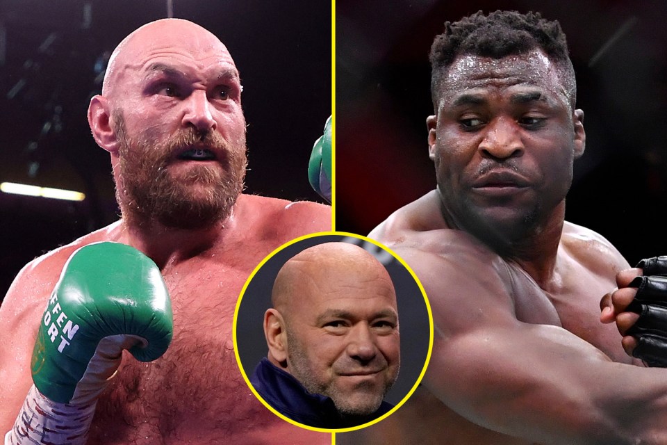 UFC boss Dana White is standing in the way of Ngannou's fight with Fury at present