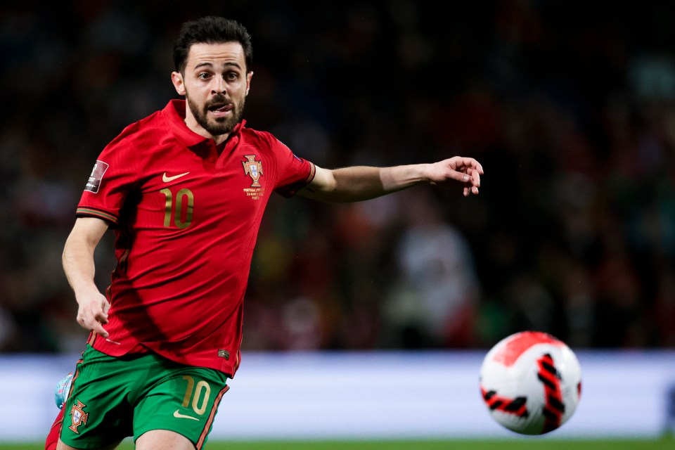 Silva is determined to be at the World Cup later this year