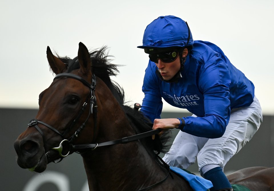 Native Trail won the Craven Stakes at Newmarket last year with William Buick up, trained by John & Thady Gosden in the Godolphin blue