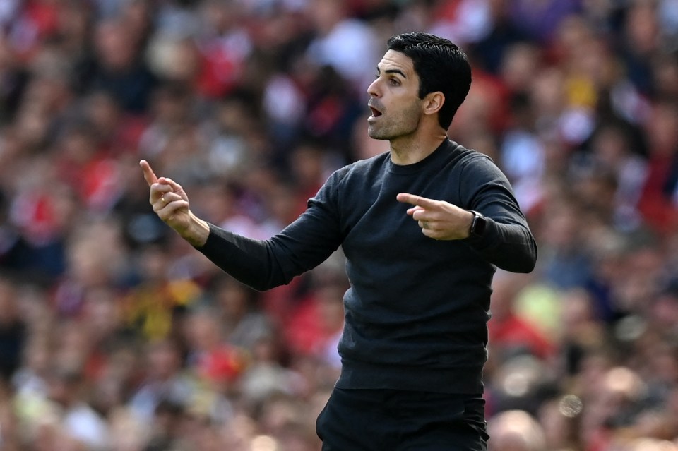 Arteta will be happy to see some major additions to his squad this summer