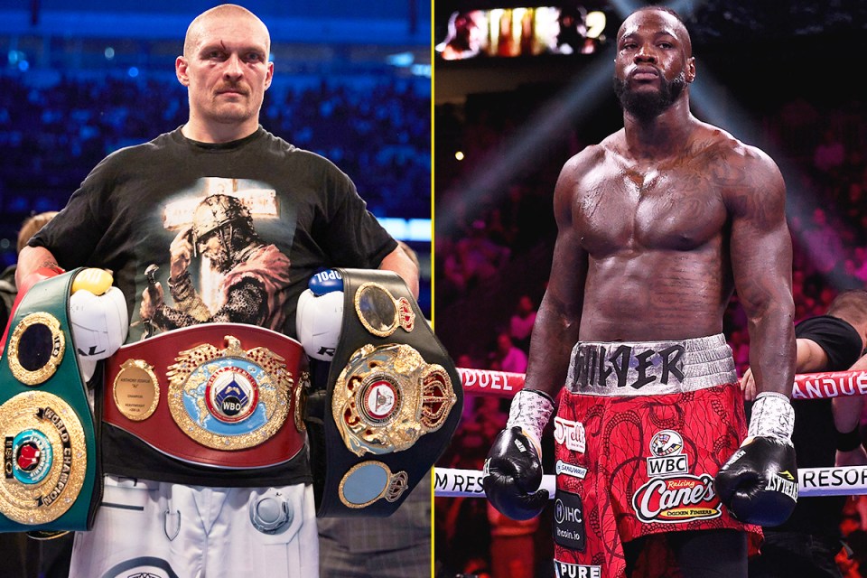 Wilder wanted to take Usyk's titles from him but never got the chance