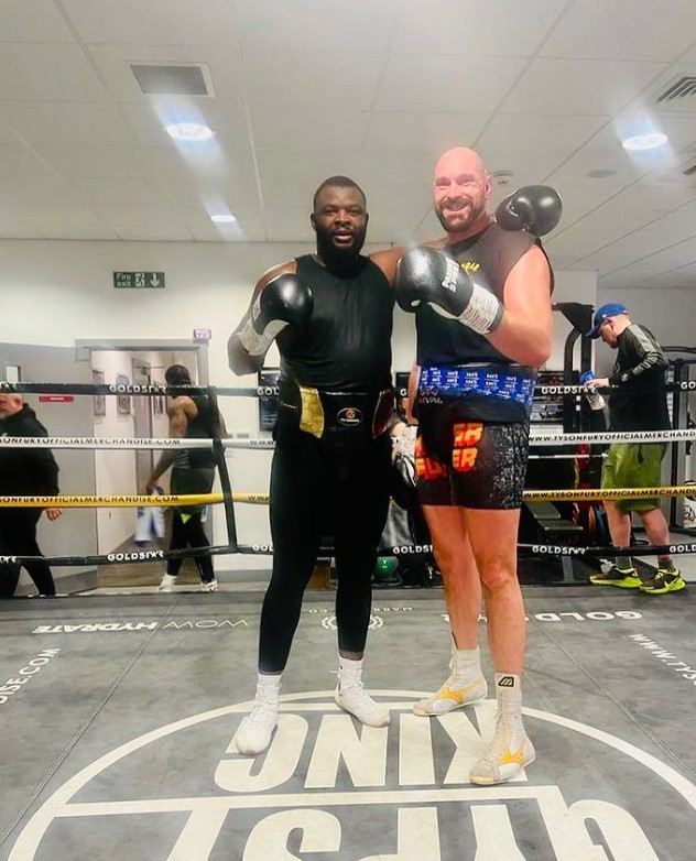 The WBA have ordered Bakole to face Don King fighter Cassius Chaney in a final eliminator bout for a version of their heavyweight title