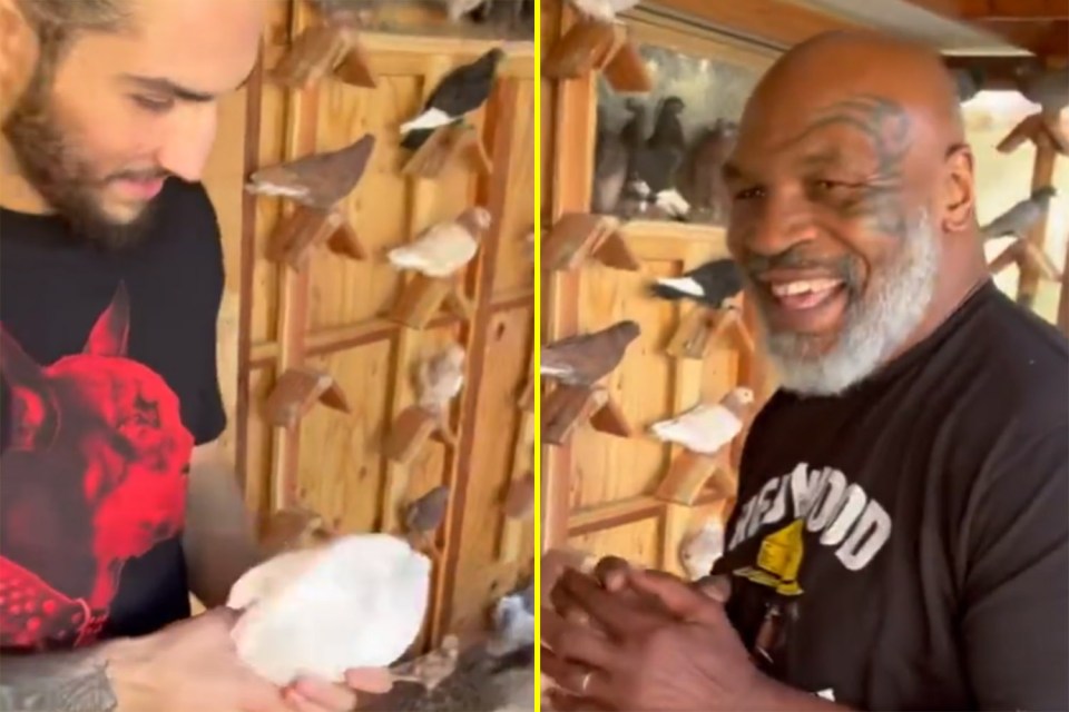 Tyson was absolutely loving it