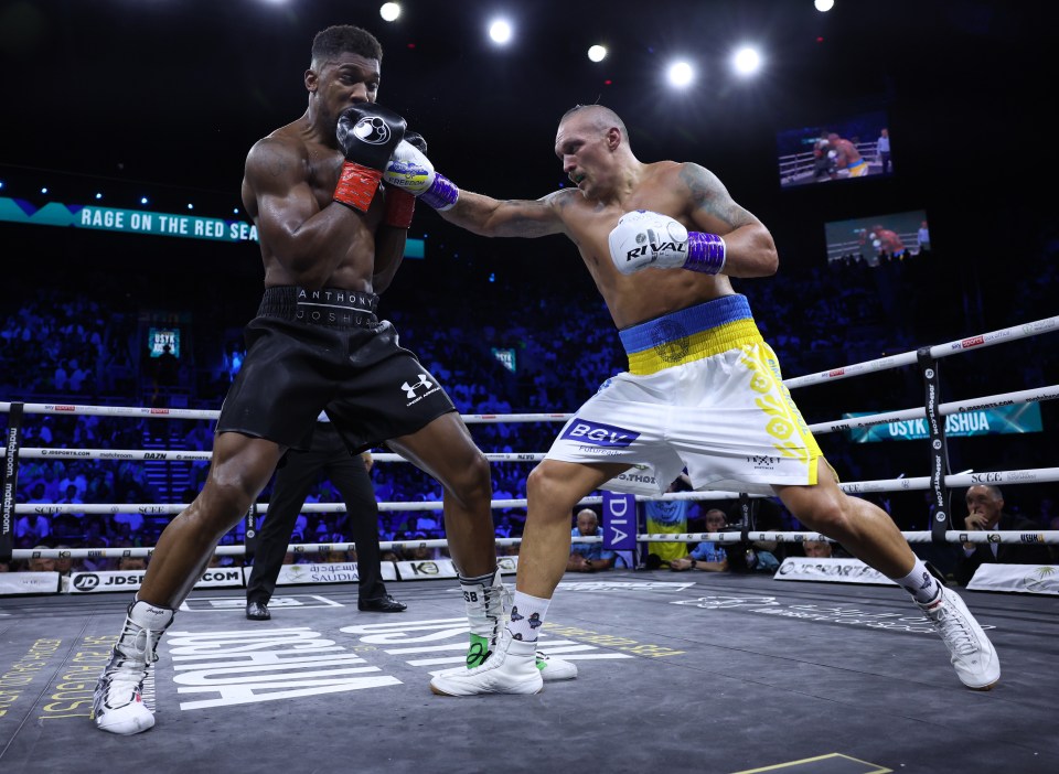 Usyk was too good for Joshua on the night