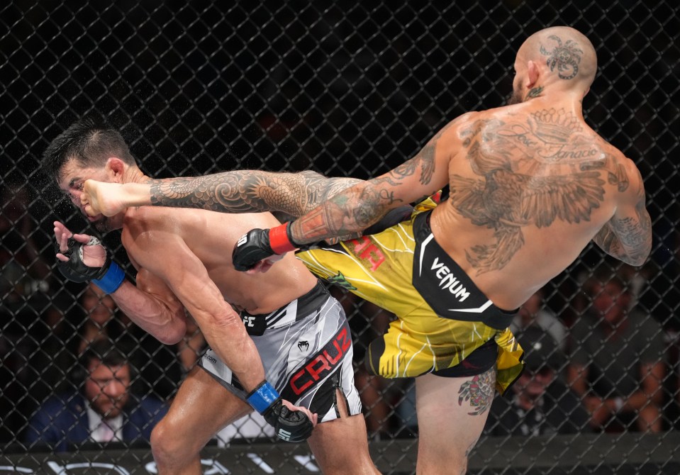 Vera KO'd Dominick Cruz at UFC San Diego in August 2022
