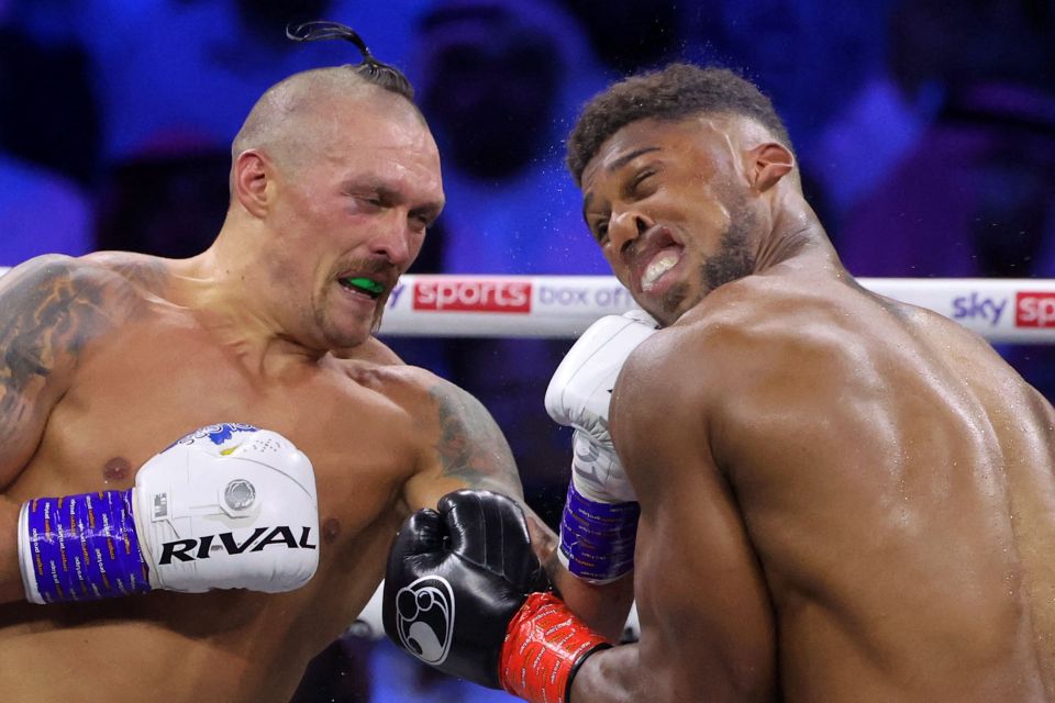 Usyk beat Joshua twice, and thinks Wilder could also