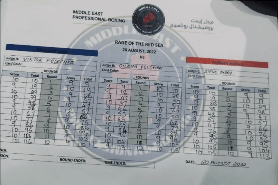To the amazement of many, the American scored it 115-113 in favour of Joshua