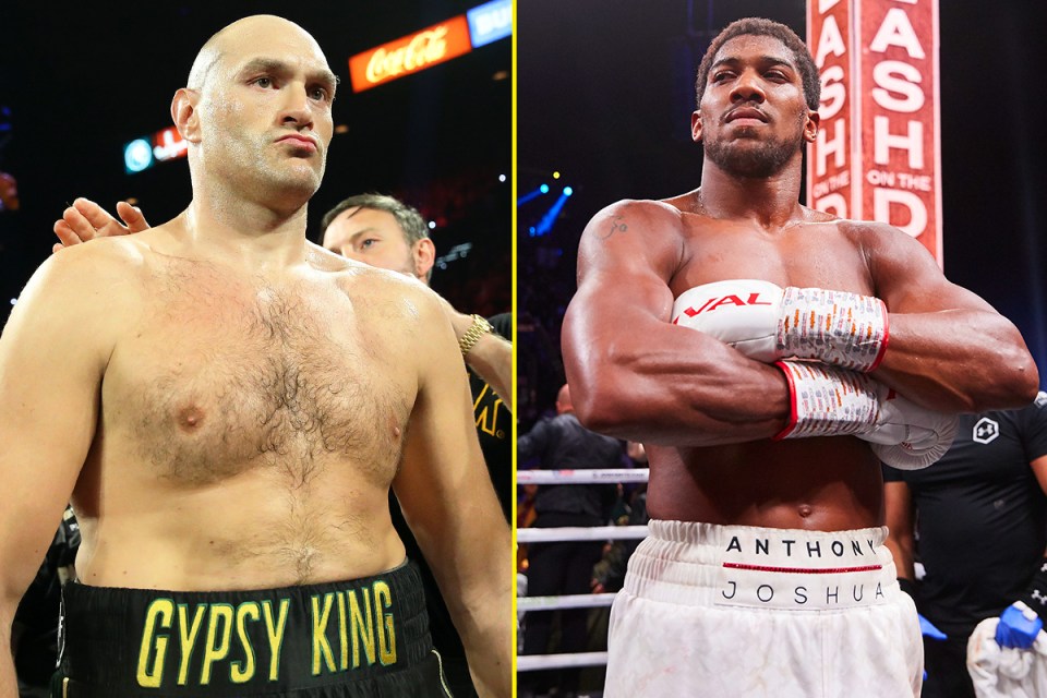 'The Gypsy King' is now targeting a fight with Joshua