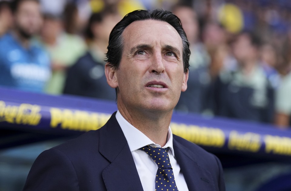 Emery will be hoping to thrive during his second spell in the Premier League