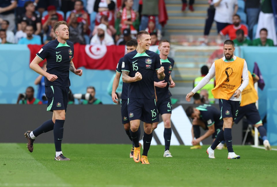 Mitch Duke netted the crucial goal to give Australia three points against Tunisia