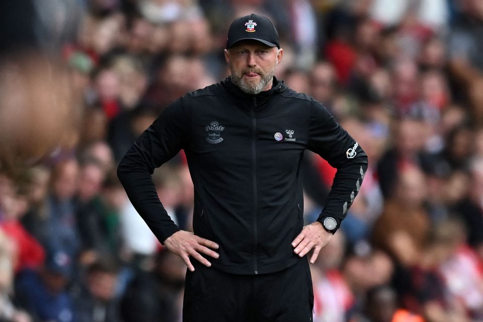 After four years at the club, Hasenhuttl has been sacked as Southampton boss