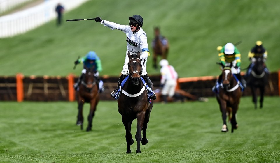 Nico de Boinville celebrates winning the Sky Bet Supreme Novices' Hurdle on Constitution Hill during day one of the Cheltenham Racing Festival at Prestbury Park