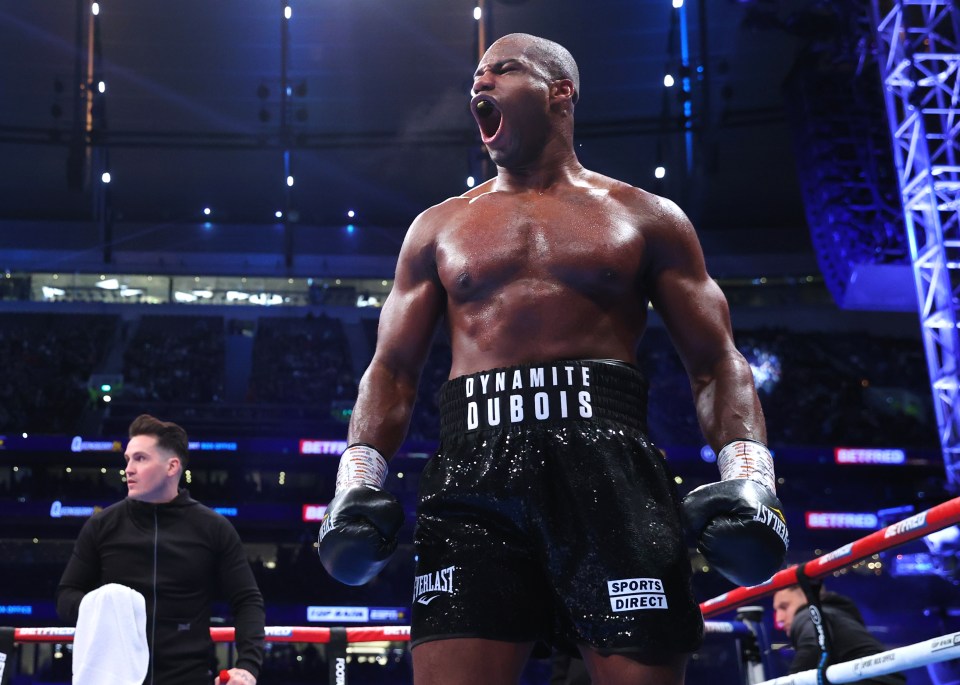 Dubois has 18 knockouts in his 19 wins so far and Haye says his power will always give him a chance of winning