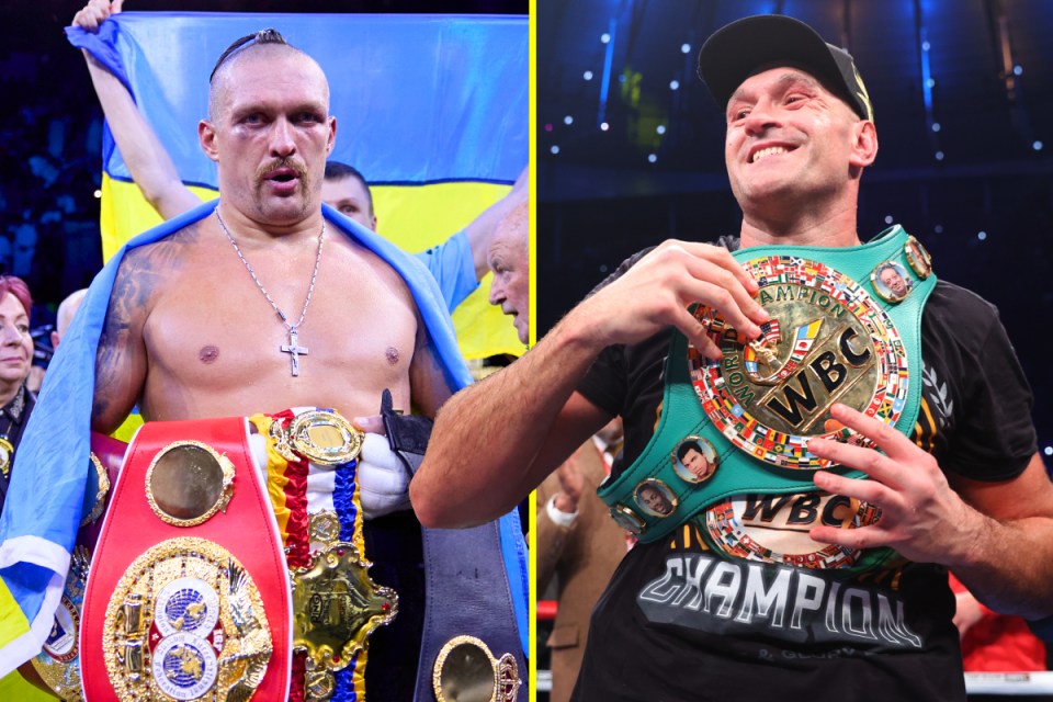 A fight between Fury and Usyk could have crowned the first undisputed heavyweight world champion in the four belt era