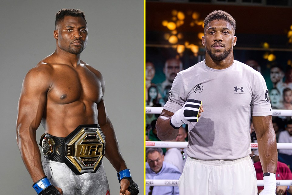 And Hardy believes Ngannou could beat Joshua and go on to win a boxing world title