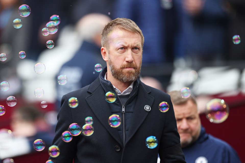 Potter has come under fire at Chelsea