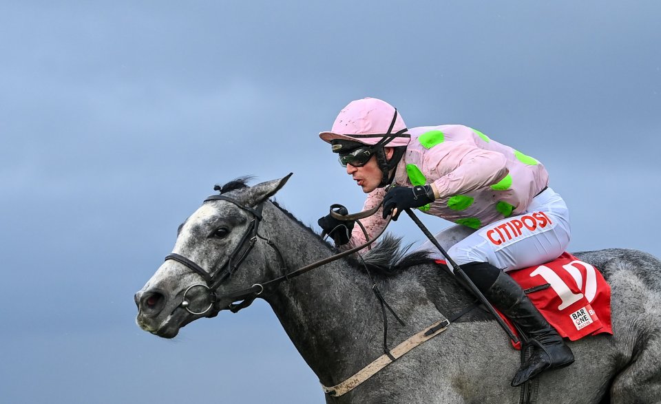 Lossiemouth, with Danny Mullins up, on their way to winn the Bar One Racing Juvenile Hurdle at Fairyhouse Racecourse in Ratoath