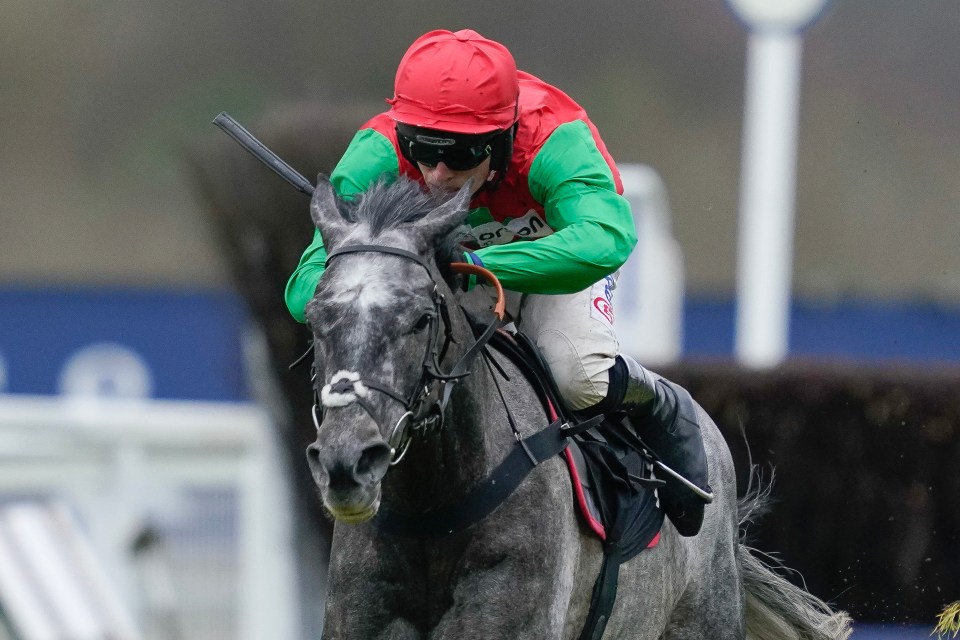 Harry Cobden riding Irish Hill clear the last to win The Ascot Racecourse Supports Box4Kids Handicap Hurdle at Ascot Racecourse