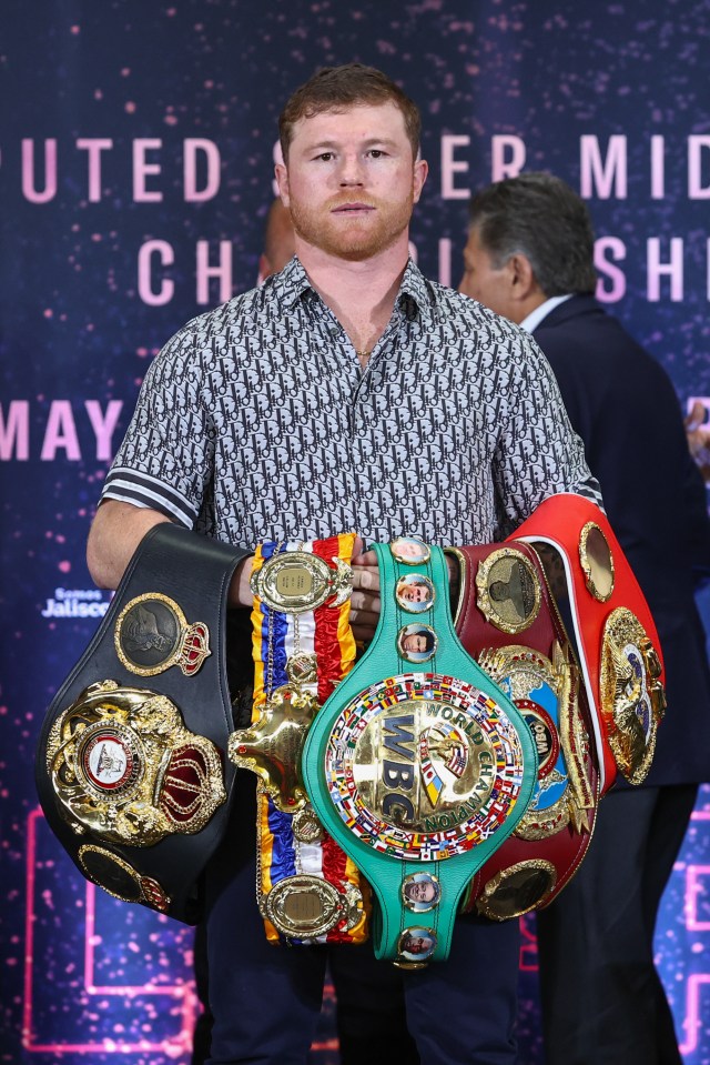 Canelo is the undisputed WBA, WBC, IBF and WBO super-middleweight world champion, and Bivol wants his belts