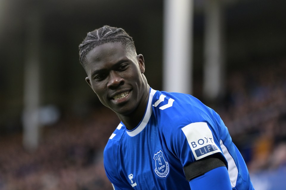 Onana has impressed for Everton since joining from Lille last year