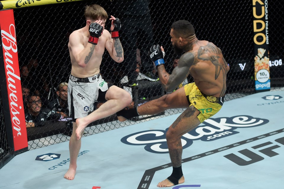 Brito's leg kicks were the story of the fight